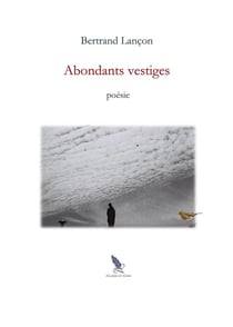 Abondants vestiges
