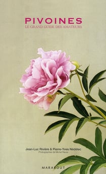 Pivoines