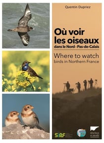 Où voir les oiseaux dans le Nord-Pas-de-Calais ?