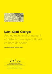 Lyon, Saint-Georges - archéologie, environnement et histoire d'un espace fluvial en bord de Saône
