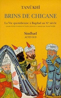 Brins de chicane - la vie quotidienne à Bagdad au Xe siècle