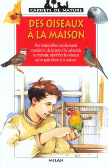 Des oiseaux a la maison
