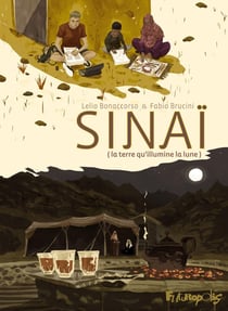 Sinaï : la terre qu'illumine la lune