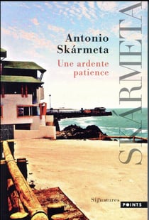 Une ardente patience