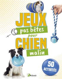 50 jeux pas bêtes pour chien malin