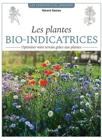 Les plantes bio-indicatrices : Optimiser votre terrain grâce aux plantes