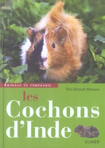 Les cochons d'inde