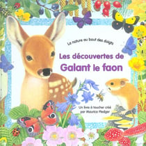 Les decouvertes de galant le faon