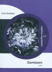 Slamtown : ethnographie alternative d'une metropole eurasienne