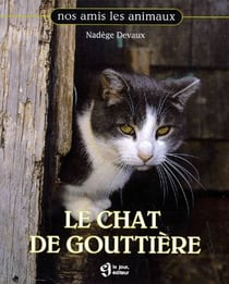 Chat de gouttiere
