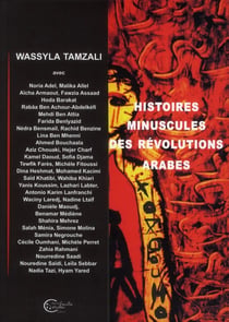 Histoires minuscules des Révolutions arabes