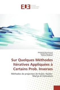 Sur Quelques Methodes Iteratives Appliquees A Certains Prob. Inverses : Methodes de projection de Krylov, Kozlov-Maz'ya et troncature