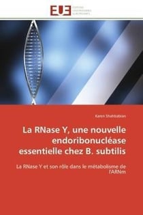 La rnase y, une nouvelle endoribonuclease essentielle chez b. subtilis - la rnase y et son role dans