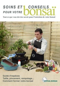 Soins et conseils pour votre bonsaï - tout ce que vous devriez savoir pour l'entretien de votre bonsaï