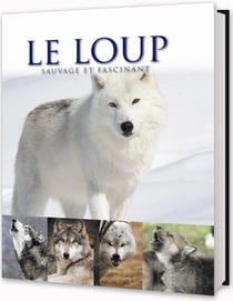 LES GRANDS FELINS