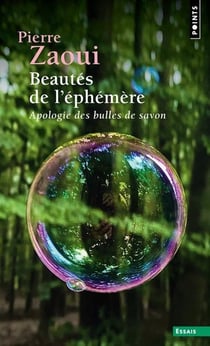 Beautés de l'éphémère : Apologie des bulles de savon