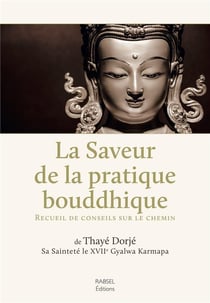 La saveur de la pratique bouddhique - recueil de conseil sur le chemin