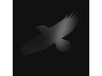 Odin's raven magic