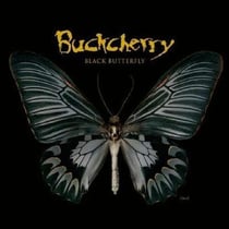 Black Butterfly