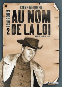 Au nom de la loi - Saison 3 - Volume 2