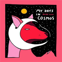 My days in cosmos