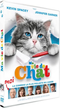 Ma vie de chat