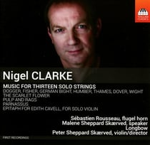 Music for thirteen solo strings