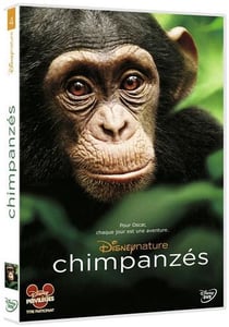 Chimpanzés