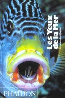 Les yeux de la mer