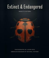 Extinct & endangered : insects in peril