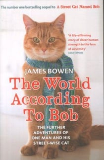 The world according to Bob