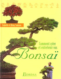 Comment creer et entretenir un bonsai