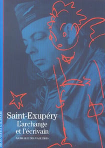 Saint-Exupéry - chevalier du ciel