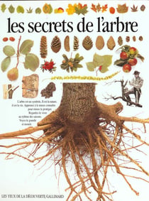 Les secrets de l'arbre