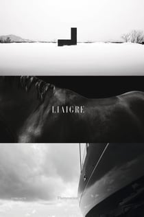 Liaigre : 12 Projects