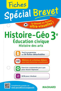 Spécial Brevet Fiches Histoire-Géo, Éd. civ. (+ Histoire des arts) 3e