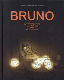 bruno quelques jours de ma vie tres interessante