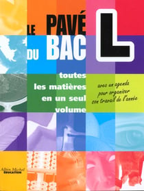 Le pave du bac l