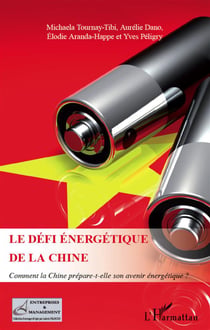 Le défi énergétique de la Chine - comment la Chine prépare-t-elle son avenir énergétique ?