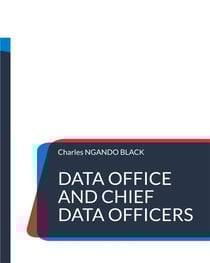 Data Office and Chief Data Officers : The Definitive Guide