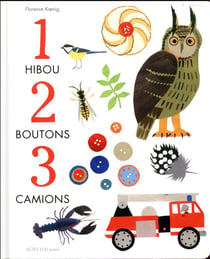 1 hibou, 2 boutons, 3 camions !