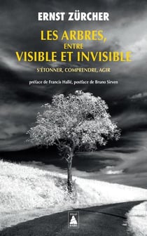 Les arbres, entre visible et invisible : s'étonner, comprendre, agir