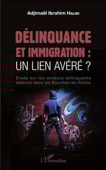 Délinquance et immigration : un lien avéré ? étude sur les mineurs délinquants détenus dans les Bouches-du-Rhône