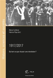 1917/2017 - qu'est-ce que réussir une révolution ?