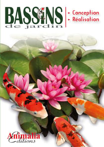Le guide des bassins de jardin