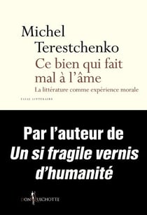 Ce bien qui fait mal à l'âme - la littérature comme expérience morale