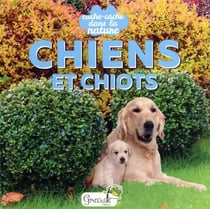 Cache-cache dans la nature : Chiens et chiots