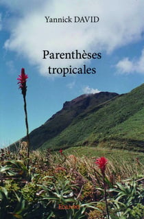 Parentheses tropicales