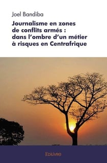 Journalisme en zones de conflits armes : dans l'ombre d'un metier a risques en centrafrique