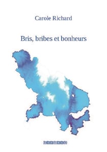 Bris, bribes et bonheurs